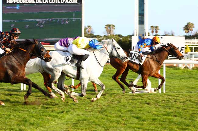 Photo d'arrivée de la course pmu PRIX DE CIMIEZ à CAGNES-SUR-MER le Mardi 24 février 2026