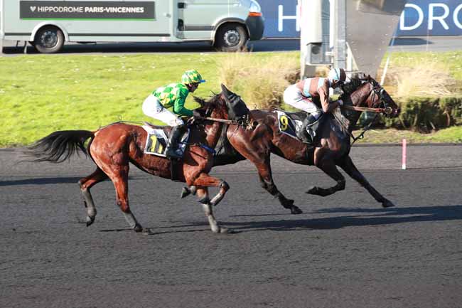 Photo d'arrivée de la course pmu PRIX DE DRAGUIGNAN à PARIS-VINCENNES le Mercredi 25 février 2026