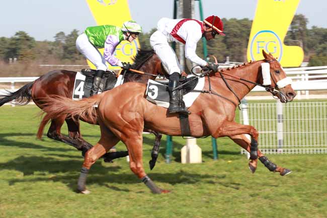 Photo d'arrivée de la course pmu PRIX JACQUES GELIOT à FONTAINEBLEAU le Jeudi 26 février 2026