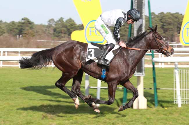 Photo d'arrivée de la course pmu PRIX CAPITAINE LABONDE à FONTAINEBLEAU le Jeudi 26 février 2026