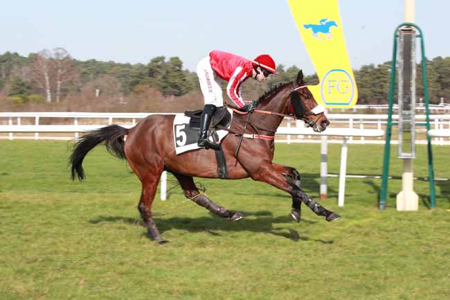 Photo d'arrivée de la course pmu PRIX DE LA SOCIETE DES COURSES DE DIEPPE à FONTAINEBLEAU le Jeudi 26 février 2026