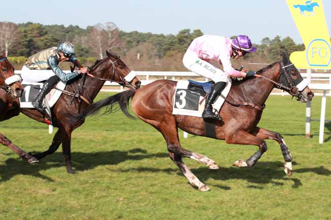 Photo d'arrivée de la course pmu PRIX DE BOULIGNY à FONTAINEBLEAU le Jeudi 26 février 2026
