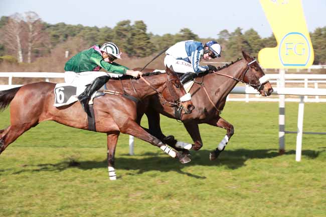 Photo d'arrivée de la course pmu PRIX JEAN SOUILHE à FONTAINEBLEAU le Jeudi 26 février 2026