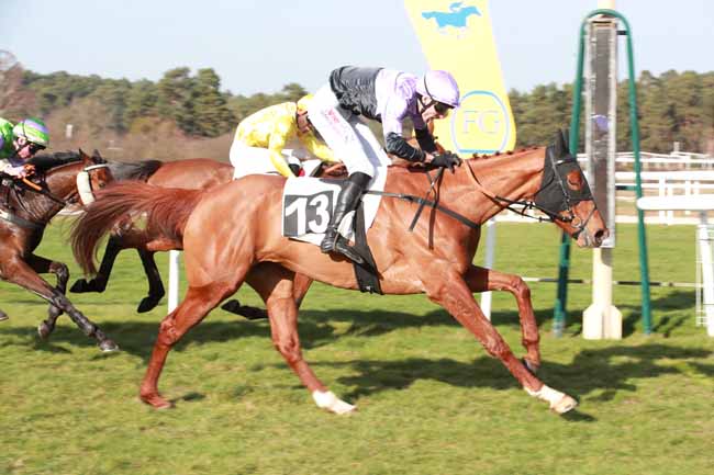 Photo d'arrivée de la course pmu PRIX DES HERONNIERES à FONTAINEBLEAU le Jeudi 26 février 2026