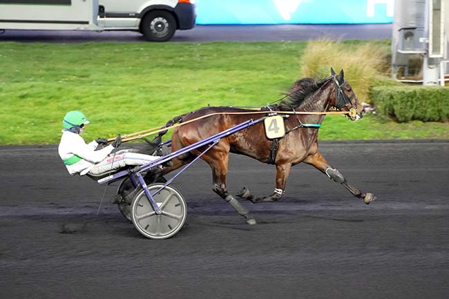 Photo d'arrivée de la course pmu PRIX DE GUER-COETQUIDAN à PARIS-VINCENNES le Samedi 28 février 2026