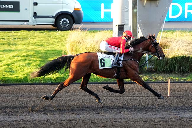 Photo d'arrivée de la course pmu PRIX DES CENTAURES à PARIS-VINCENNES le Samedi 28 février 2026