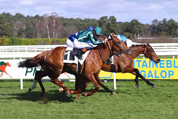 Photo d'arrivée de la course pmu PRIX JEAN GILLOIS à FONTAINEBLEAU le Samedi 28 février 2026