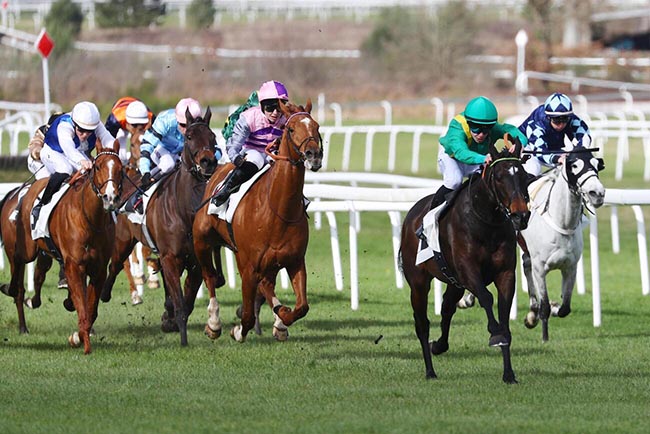 Photo d'arrivée de la course pmu PRIX DES IFS à FONTAINEBLEAU le Samedi 28 février 2026