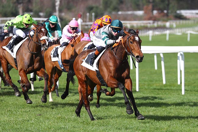 Photo d'arrivée de la course pmu PRIX DE FONTAINEBLEAU TOURISME à FONTAINEBLEAU le Samedi 28 février 2026