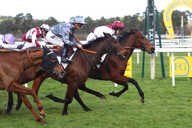 Photo d'arrivée de la course pmu PRIX GEORGES DERCOURT à FONTAINEBLEAU le Samedi 28 février 2026