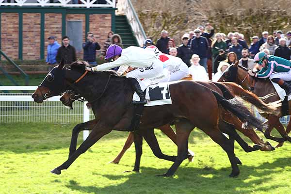 Photo d'arrivée de la course pmu PRIX DE SAMOREAU à FONTAINEBLEAU le Samedi 28 février 2026