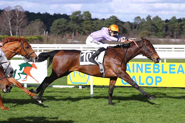 Photo d'arrivée de la course pmu PRIX DES CHARMES à FONTAINEBLEAU le Samedi 28 février 2026