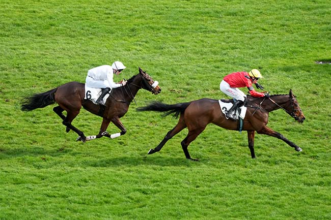 Photo d'arrivée de la course pmu PRIX RIVOLI à AUTEUIL le Dimanche 1 mars 2026