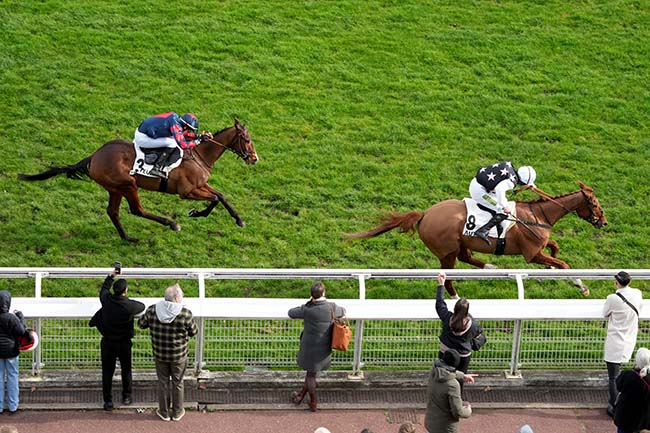 Photo d'arrivée de la course pmu PRIX HUBERT D'AILLIERES à AUTEUIL le Dimanche 1 mars 2026