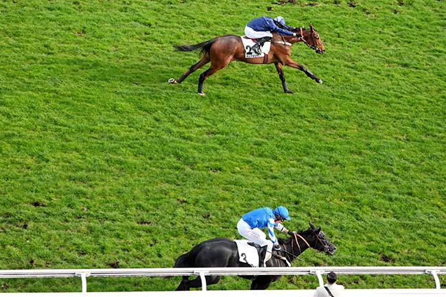 Photo d'arrivée de la course pmu PRIX D'INDY à AUTEUIL le Dimanche 1 mars 2026