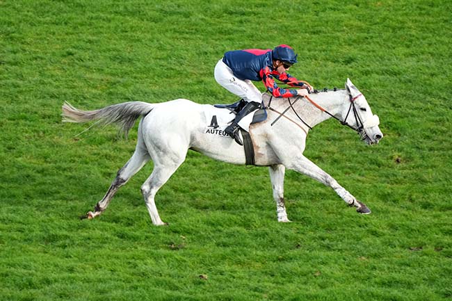Photo d'arrivée de la course pmu PRIX KARCIMONT à AUTEUIL le Dimanche 1 mars 2026