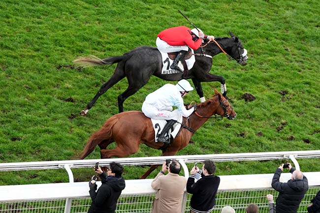 Photo d'arrivée de la course pmu PRIX VENTRILOQUE à AUTEUIL le Dimanche 1 mars 2026