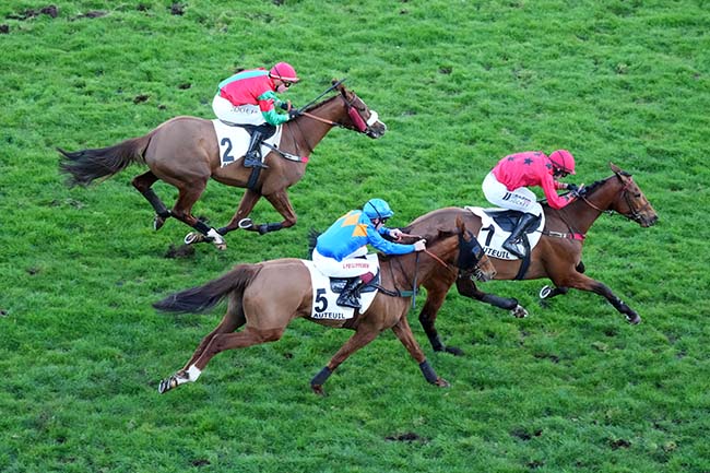 Photo d'arrivée de la course pmu PRIX D'ACHERES à AUTEUIL le Dimanche 1 mars 2026