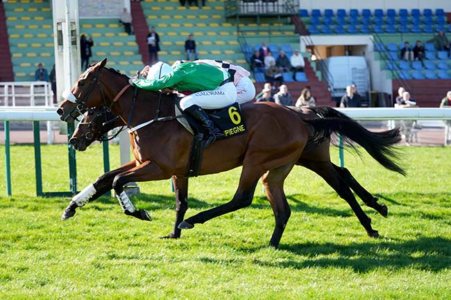 Photo d'arrivée de la course pmu PRIX D'ESSAI DES POULAINS à COMPIEGNE le Lundi 2 mars 2026