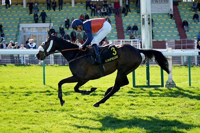 Photo d'arrivée de la course pmu PRIX FERNAND ROY à COMPIEGNE le Lundi 2 mars 2026
