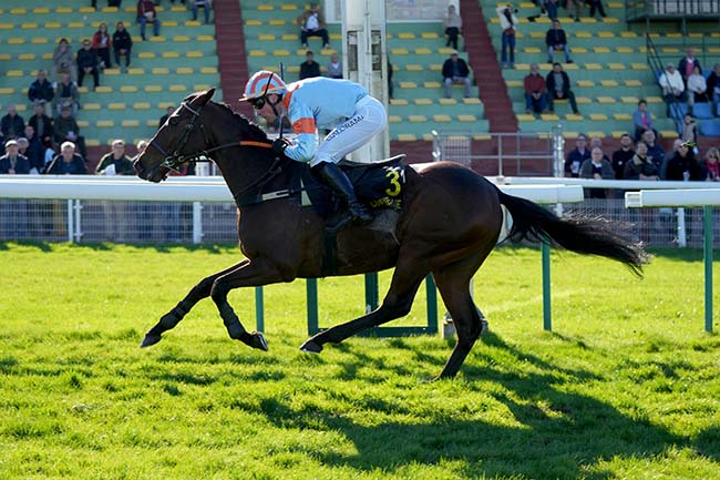 Photo d'arrivée de la course pmu PRIX DE LA SOMME à COMPIEGNE le Lundi 2 mars 2026