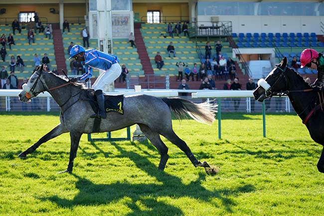 Photo d'arrivée de la course pmu PRIX MID DANCER à COMPIEGNE le Lundi 2 mars 2026