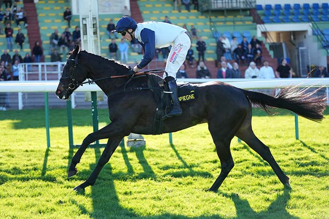Photo d'arrivée de la course pmu PRIX ETIENNE BALSAN à COMPIEGNE le Lundi 2 mars 2026