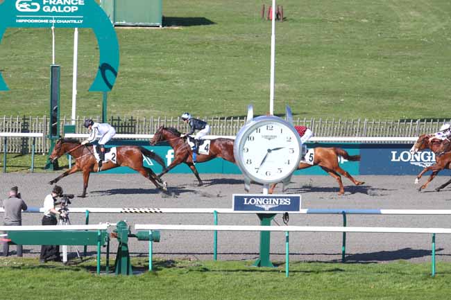 Photo d'arrivée de la course pmu PRIX DE LA TRAVERSIERE à CHANTILLY le Mardi 3 mars 2026
