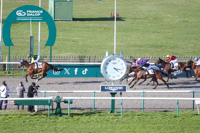 Photo d'arrivée de la course pmu PRIX DES ALLEES CAVALIERES à CHANTILLY le Mardi 3 mars 2026