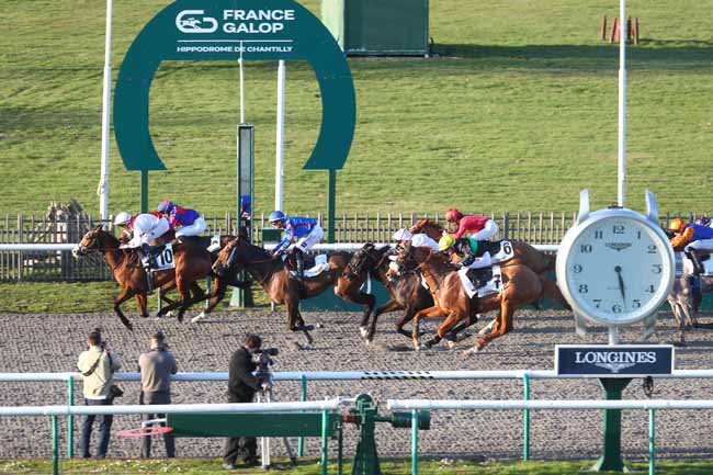 Photo d'arrivée de la course pmu PRIX DES RONDS DE MARCHE à CHANTILLY le Mardi 3 mars 2026