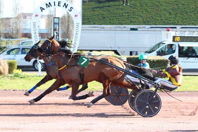 Photo d'arrivée de la course pmu PRIX FUGA FORMATION - G.N.A à AMIENS le Mercredi 4 mars 2026