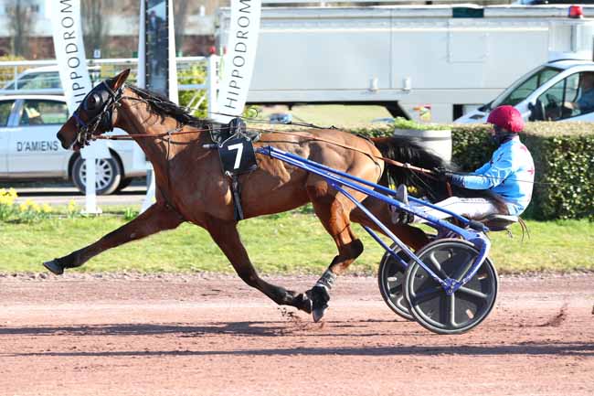 Photo d'arrivée de la course pmu PRIX DU NEMROD à AMIENS le Mercredi 4 mars 2026