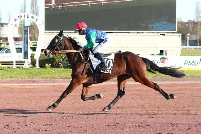 Photo d'arrivée de la course pmu PRIX KING BLACK à AMIENS le Mercredi 4 mars 2026