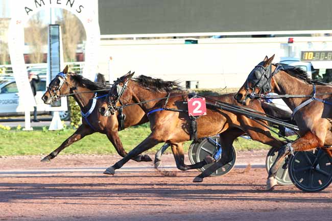 Photo d'arrivée de la course pmu PRIX KEMI à AMIENS le Mercredi 4 mars 2026