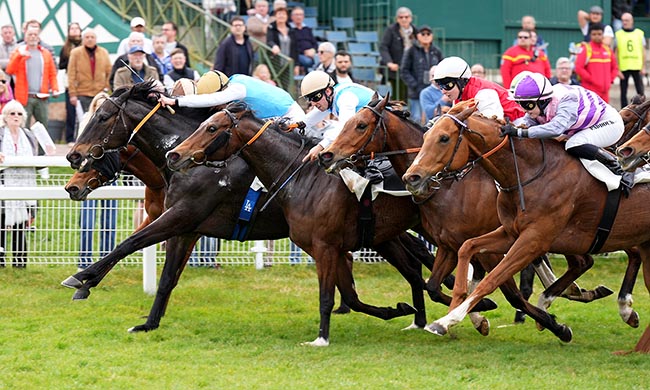 Photo d'arrivée de la course pmu PRIX ROSA BONHEUR à FONTAINEBLEAU le Vendredi 6 mars 2026