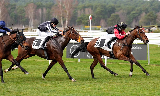 Photo d'arrivée de la course pmu PRIX DE MORET-SUR-LOING (CHAMPIONNAT PARIS-TURF DES APPRENTIS & JEUNES JOCKEYS) à FONTAINEBLEAU le Vendredi 6 mars 2026