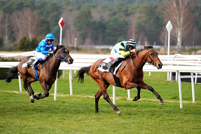 Photo d'arrivée de la course pmu PRIX DES CYPRES à FONTAINEBLEAU le Vendredi 6 mars 2026