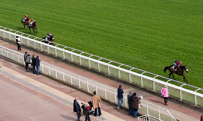 Photo d'arrivée de la course pmu PRIX DE L'YONNE à AUTEUIL le Samedi 7 mars 2026