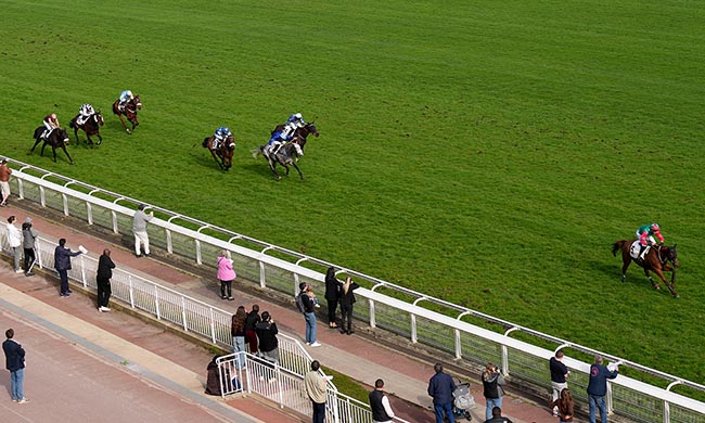 Arrivée quinté pmu PRIX PREDICATEUR à AUTEUIL