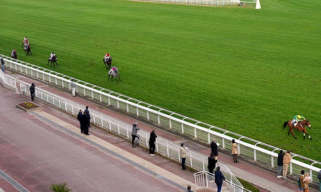Photo d'arrivée de la course pmu PRIX TURCO à AUTEUIL le Samedi 7 mars 2026