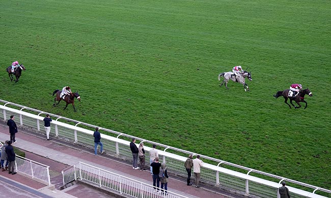 Photo d'arrivée de la course pmu PRIX DEFILE à AUTEUIL le Samedi 7 mars 2026
