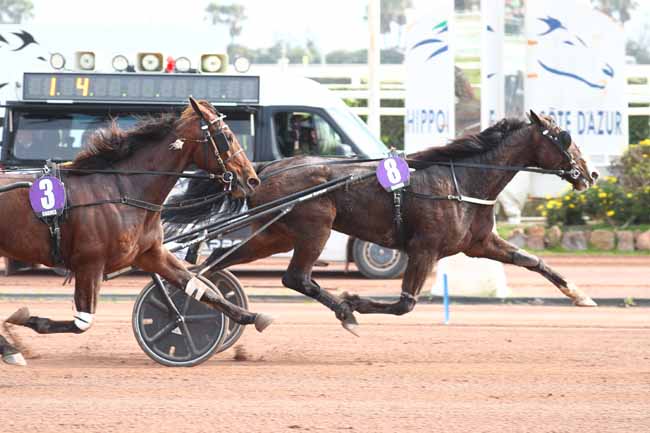 Photo d'arrivée de la course pmu PRIX DE SYRACUSE à CAGNES-SUR-MER le Dimanche 8 mars 2026