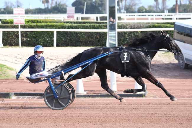 Photo d'arrivée de la course pmu GRAND CRITERIUM DE VITESSE DE LA COTE-D'AZUR - BFM NICE à CAGNES-SUR-MER le Dimanche 8 mars 2026