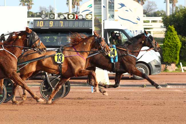 Photo d'arrivée de la course pmu PRIX DE ROME - TOR DI VALLE à CAGNES-SUR-MER le Dimanche 8 mars 2026