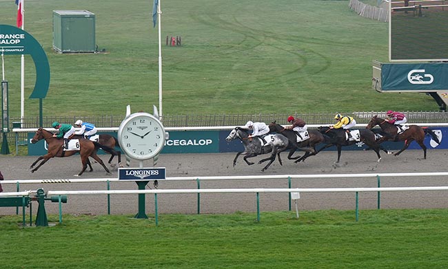 Photo d'arrivée de la course pmu PRIX BERING à CHANTILLY le Dimanche 8 mars 2026