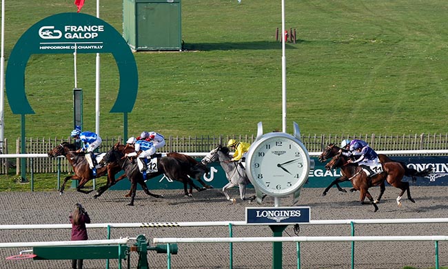 Photo d'arrivée de la course pmu PRIX MONTENICA à CHANTILLY le Dimanche 8 mars 2026