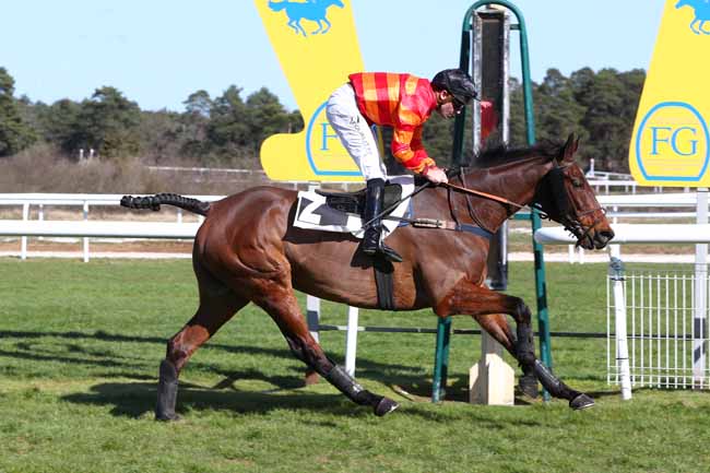 Photo d'arrivée de la course pmu PRIX DE NEMOURS à FONTAINEBLEAU le Lundi 9 mars 2026