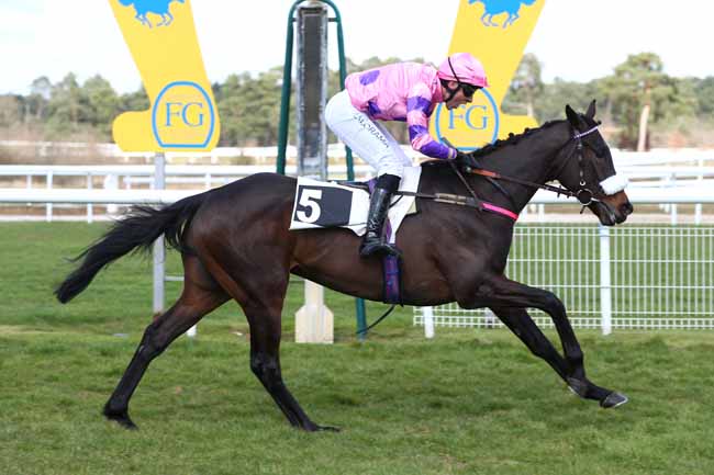 Photo d'arrivée de la course pmu PRIX GAUTIER DE LA SELLE à FONTAINEBLEAU le Lundi 9 mars 2026