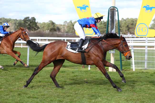 Photo d'arrivée de la course pmu PRIX DE DAMMARIE-LES-LYS à FONTAINEBLEAU le Lundi 9 mars 2026