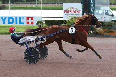 Arrivée quinté pmu PRIX DU HARAS DU ROCHER (PRIX MAYENNE TOURISME) à LAVAL